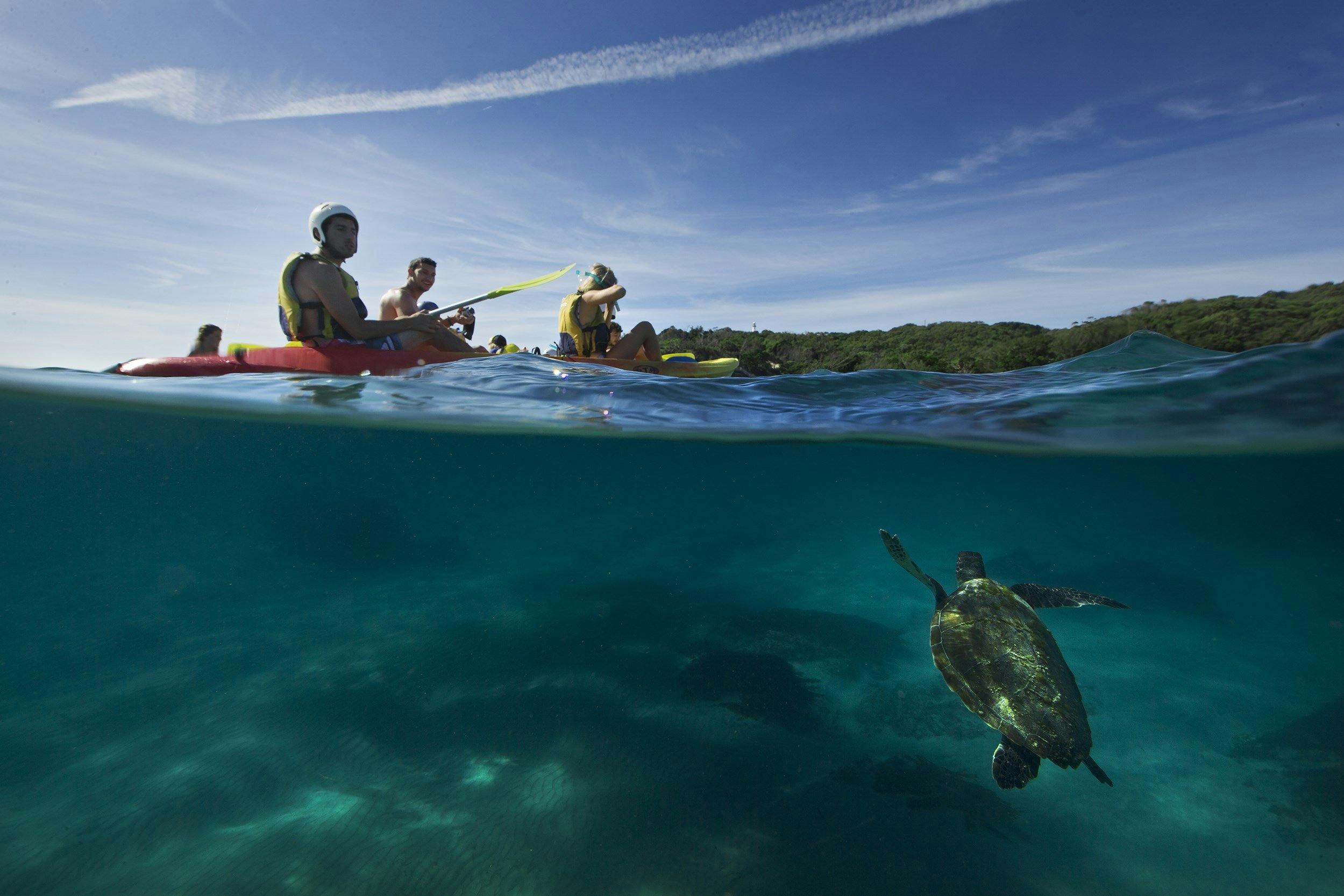 Kayak over Volcanic Reefs
