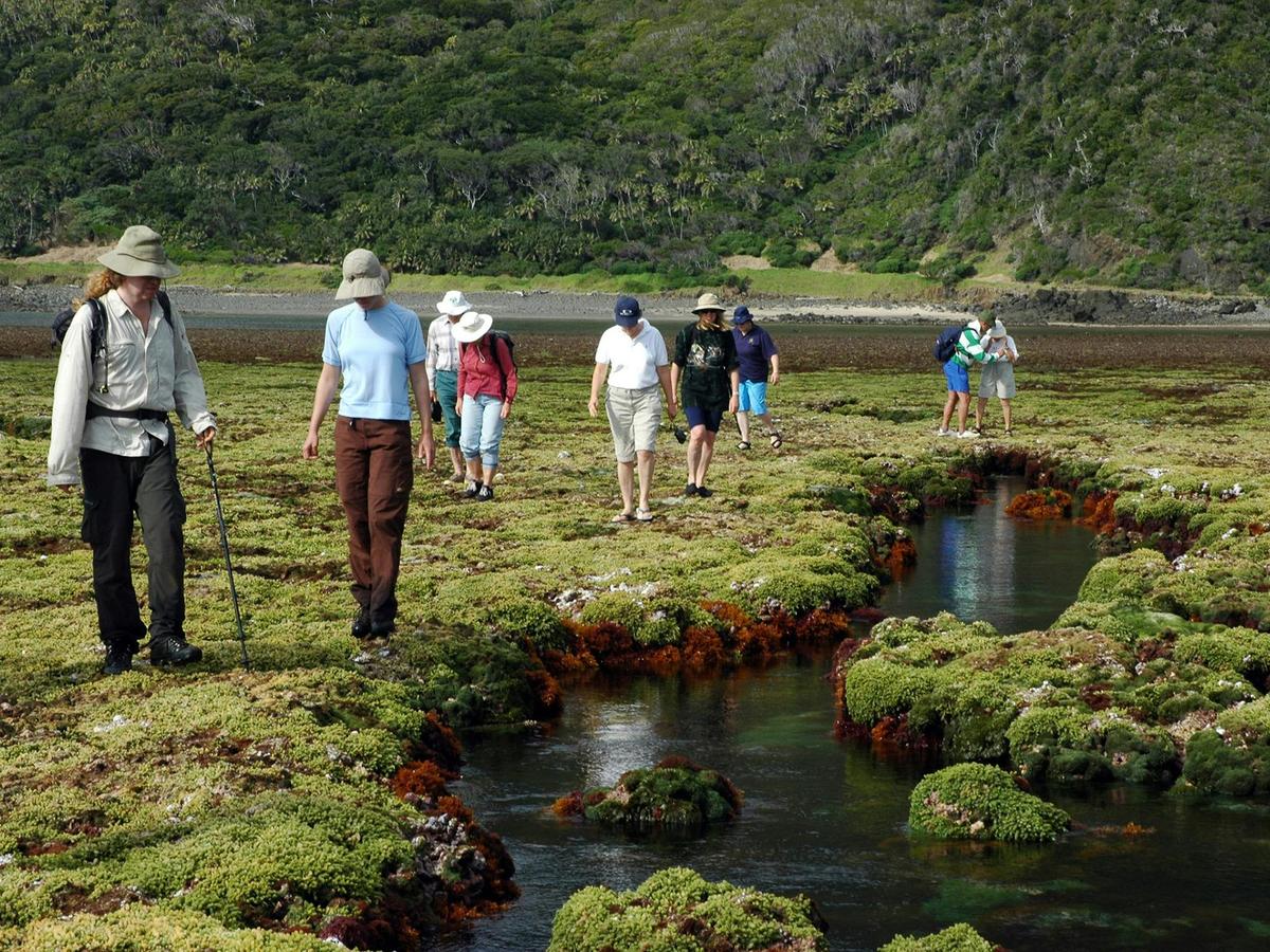 Exploring at low tide