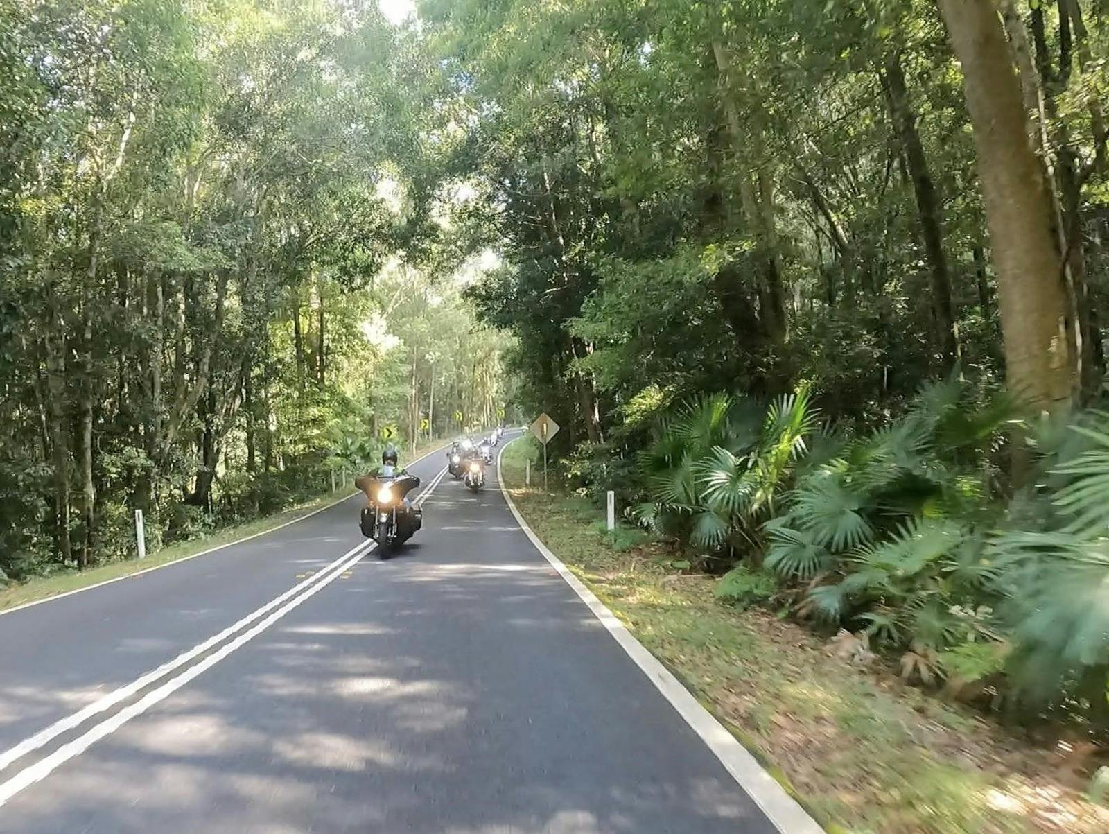 Motorcycles riding on road with overhanging trees
