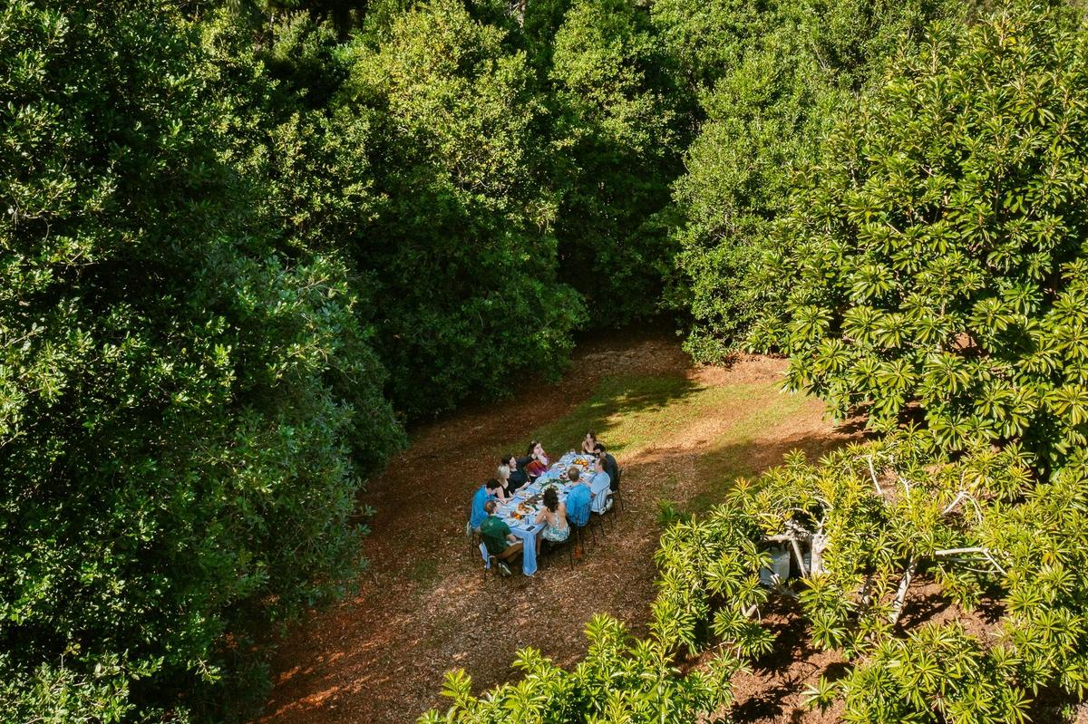Long lunch in the Orchards