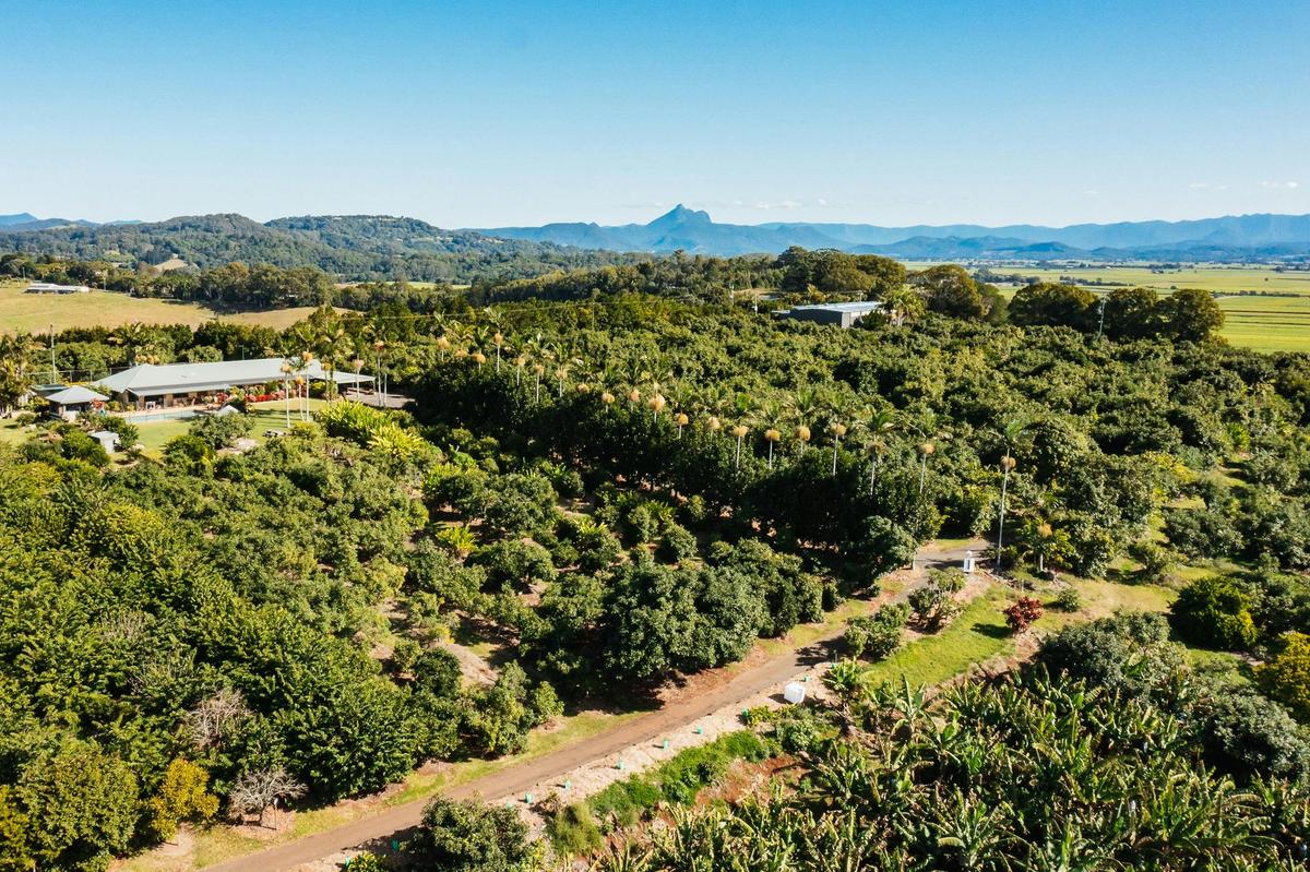 Tropical Fruit World