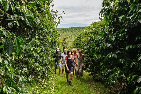 Zentvelds Coffee Plantation