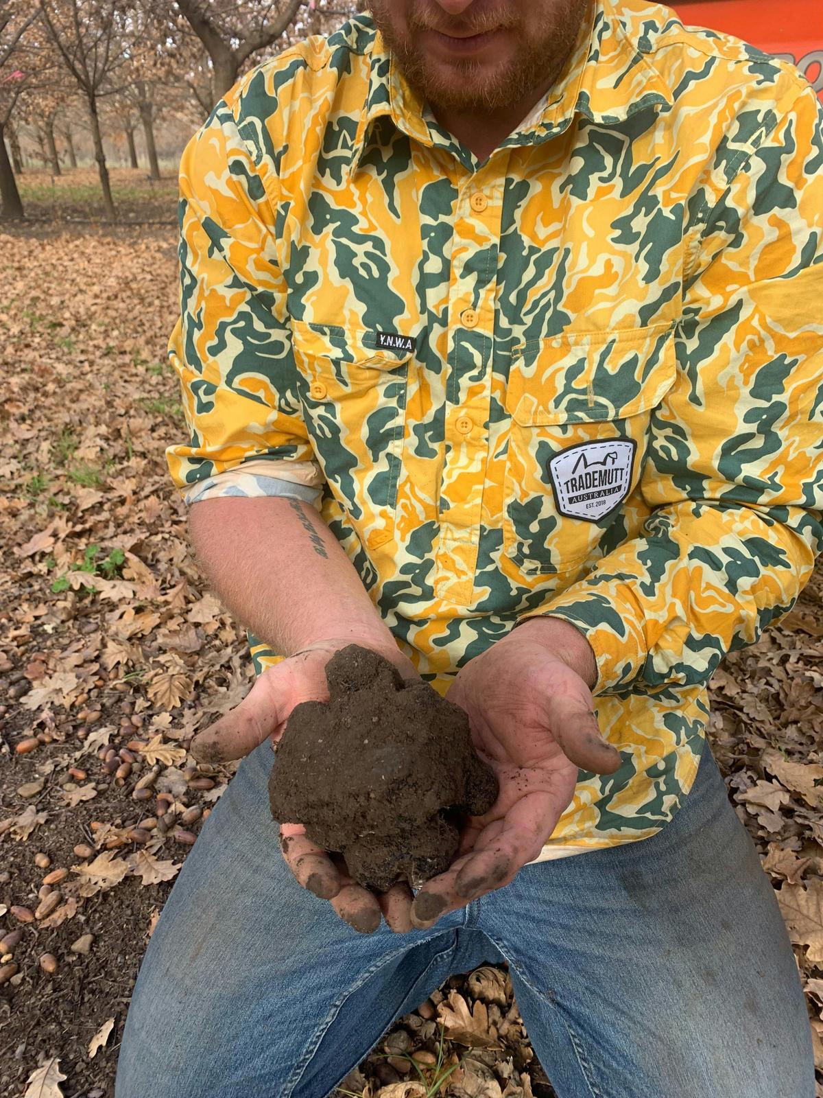 Fresh Black Perigord Truffle