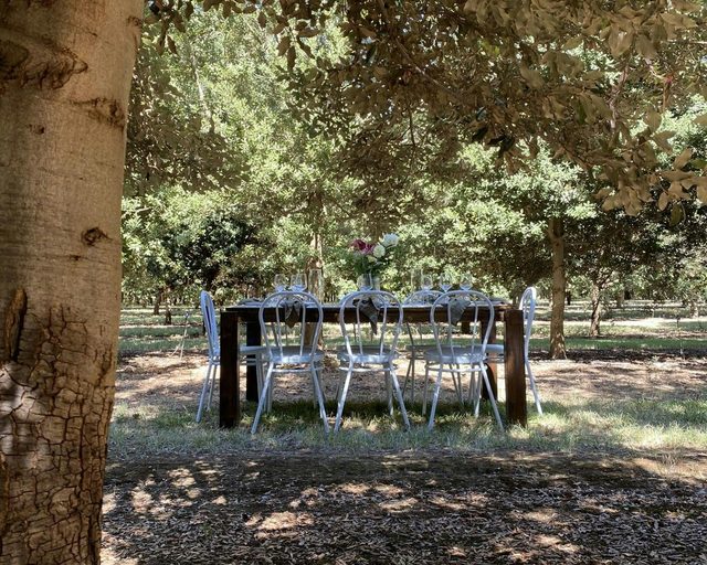 OakShade Truffles