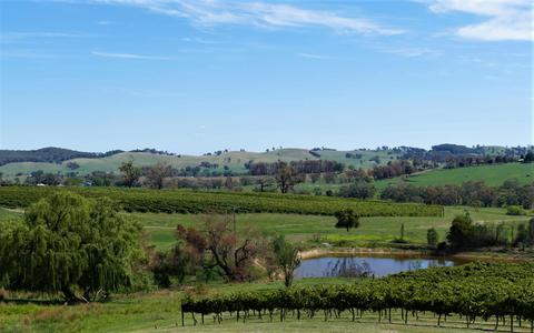 Savor cool climate wines from vineyards of the Tumbarumba Wine Region