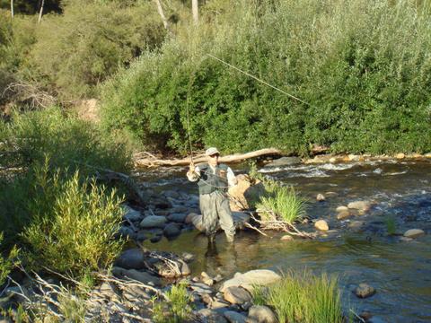 Fly Fishing Tumut