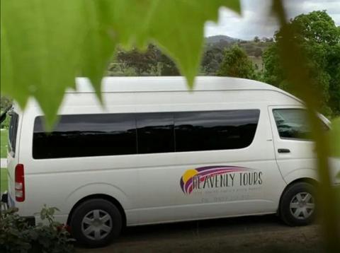 Van with leaf in corner