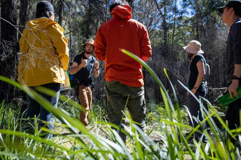 Bush tucker walk
