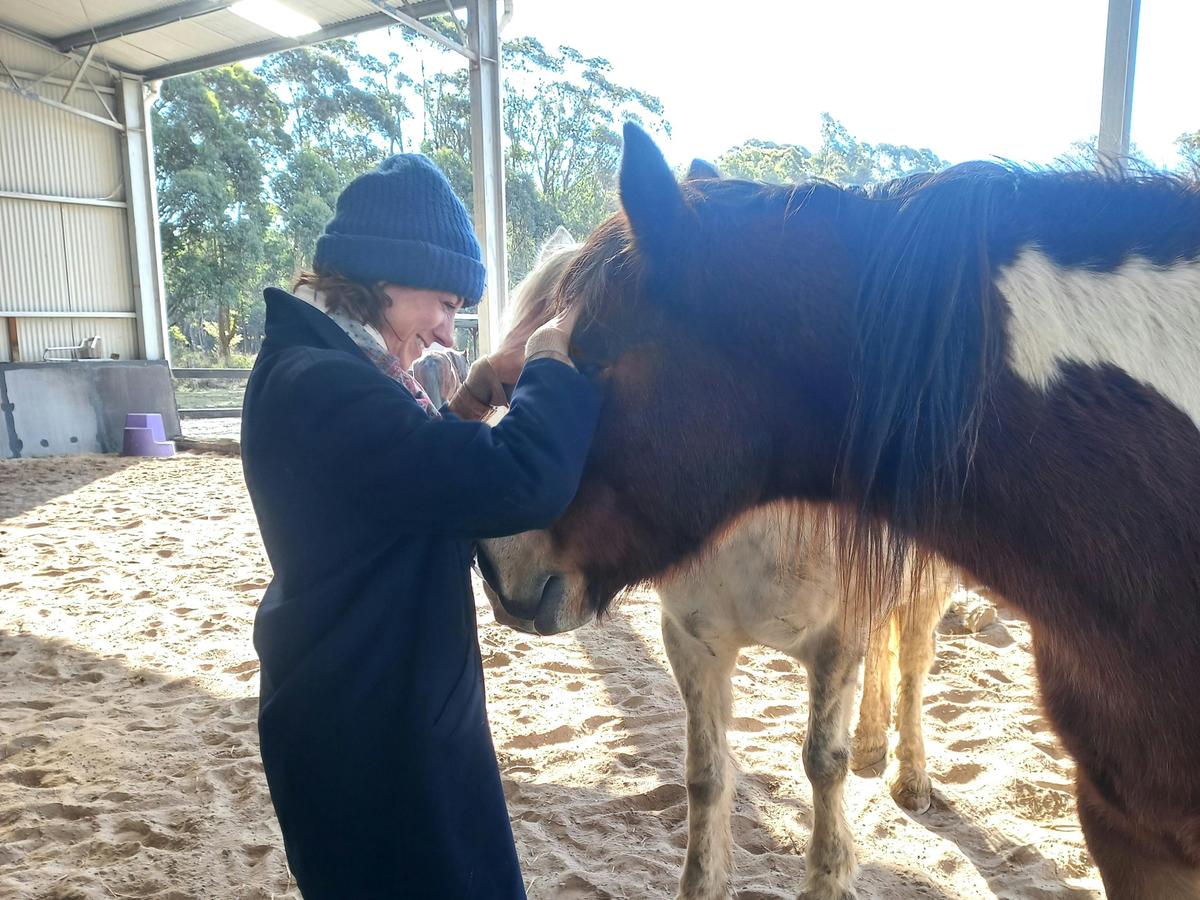 Somatic Equine Therapy