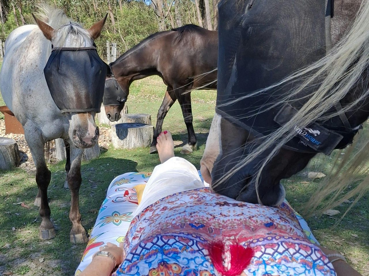 Reiki with the herd