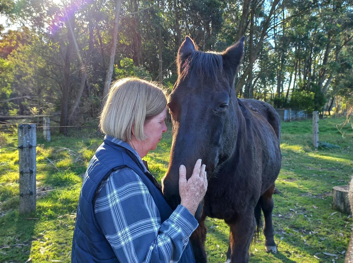 Somatic Equine Therapy