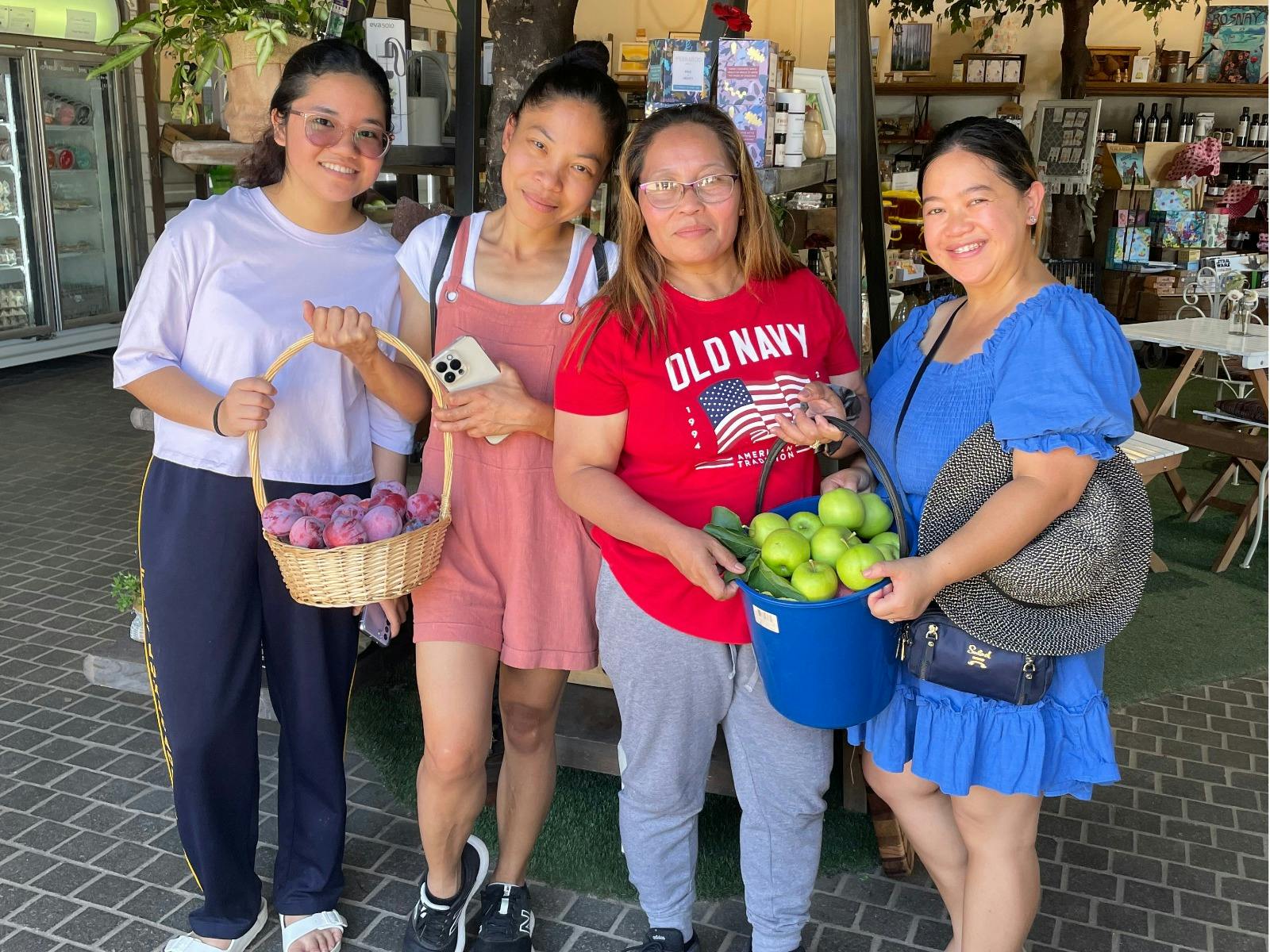Hillside Harvest Fruit Picking