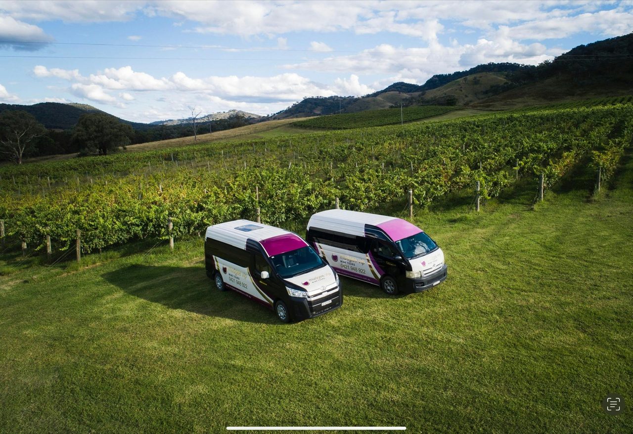 My beautiful buses
