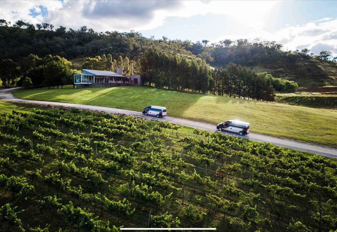 Beautiful Logan wines