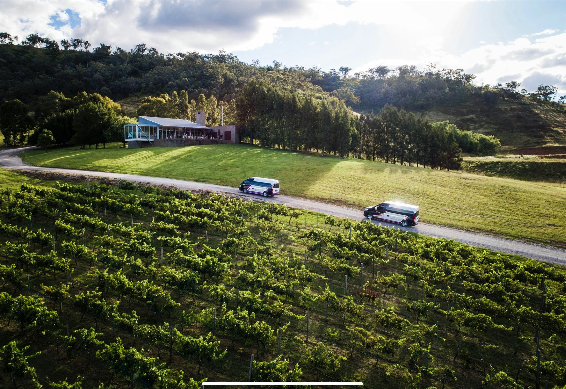 Beautiful Logan wines