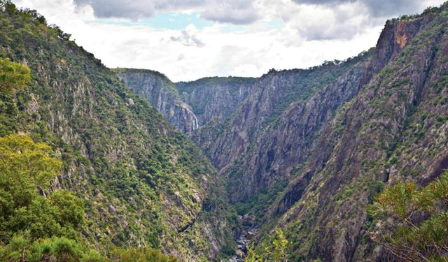 Chandler Walking Track