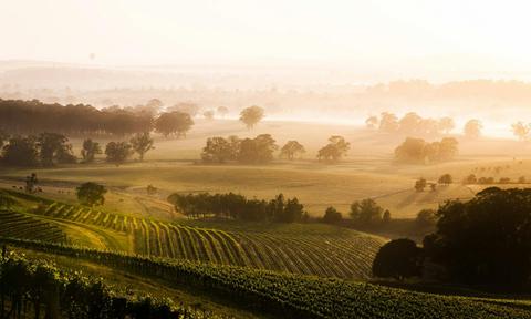 A curated day of boutique vineyards, fine dining, and effortless luxury