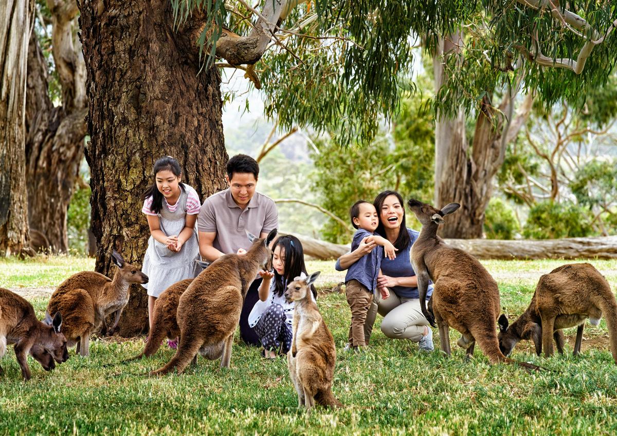Zoo