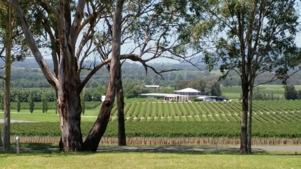 Hop-On Hop-Off Bus Tours