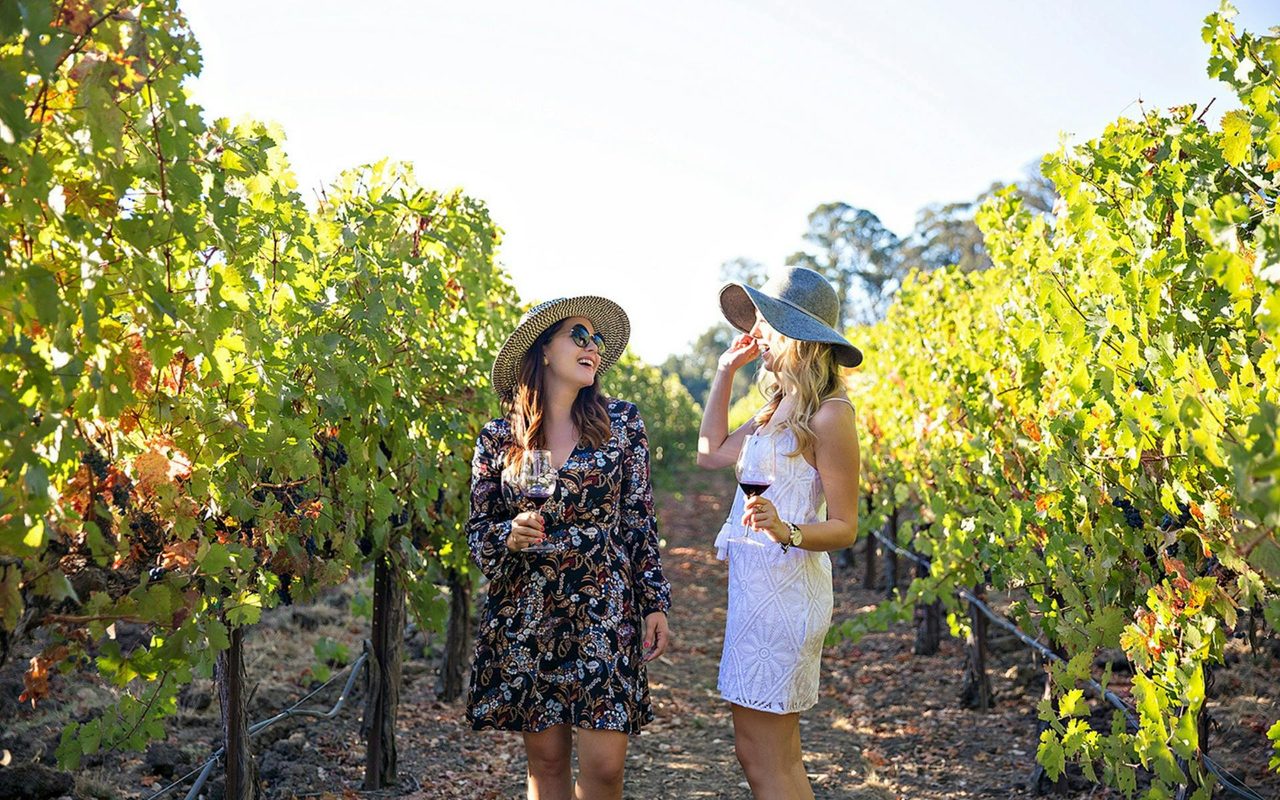 Hunter Valley Tours from Sydney