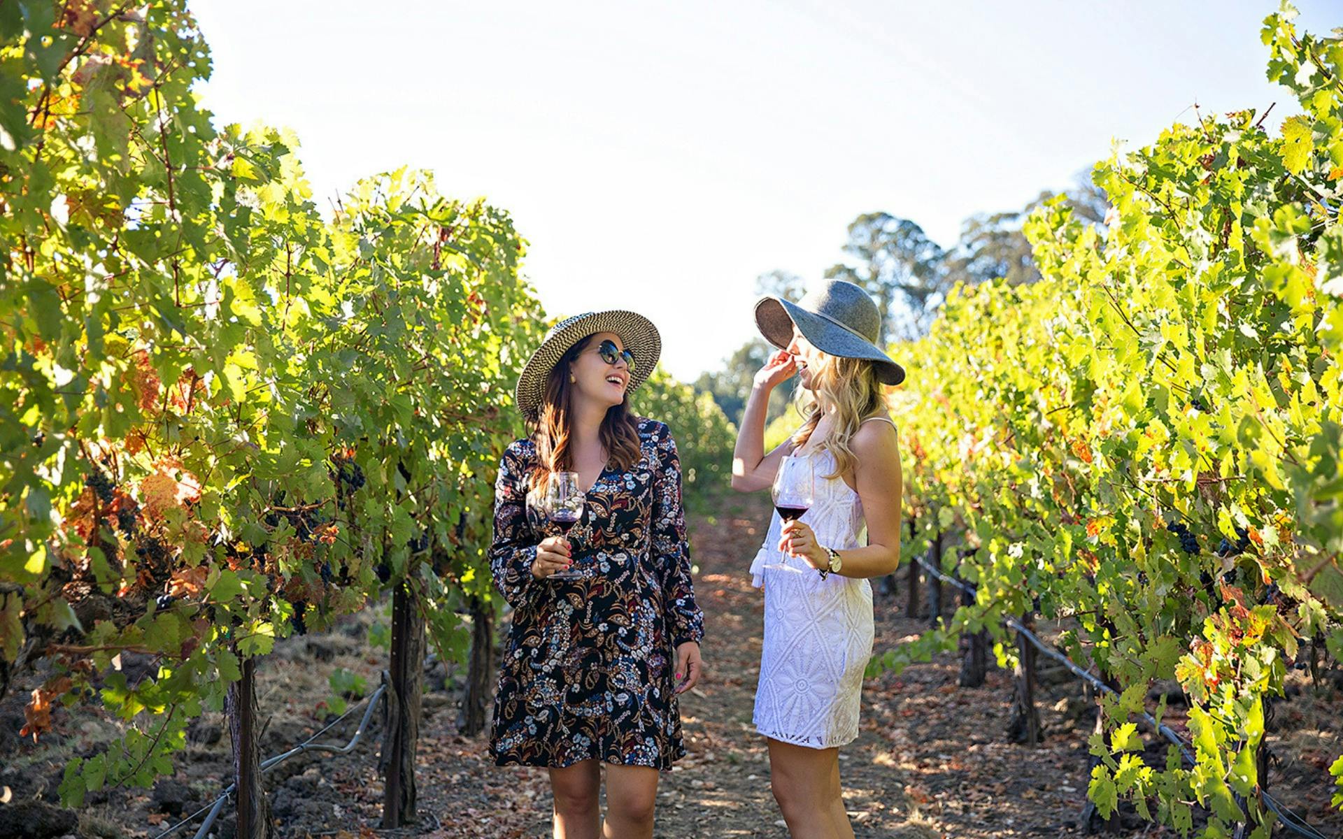 Hunter Valley Tours from Sydney