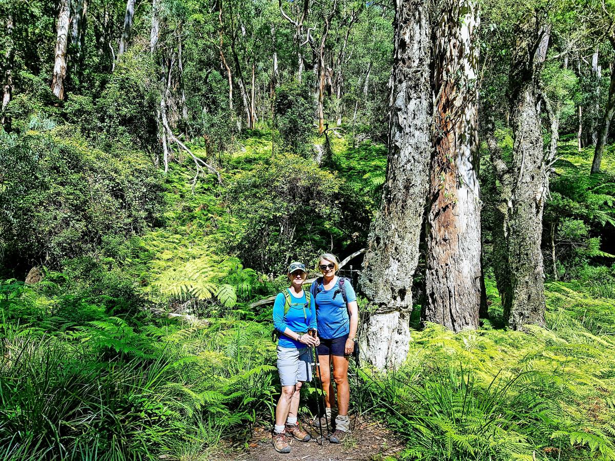 Great Blue Mountains Traverse - 3-Day Guided Pack-Free Walk with Life's An Adventure