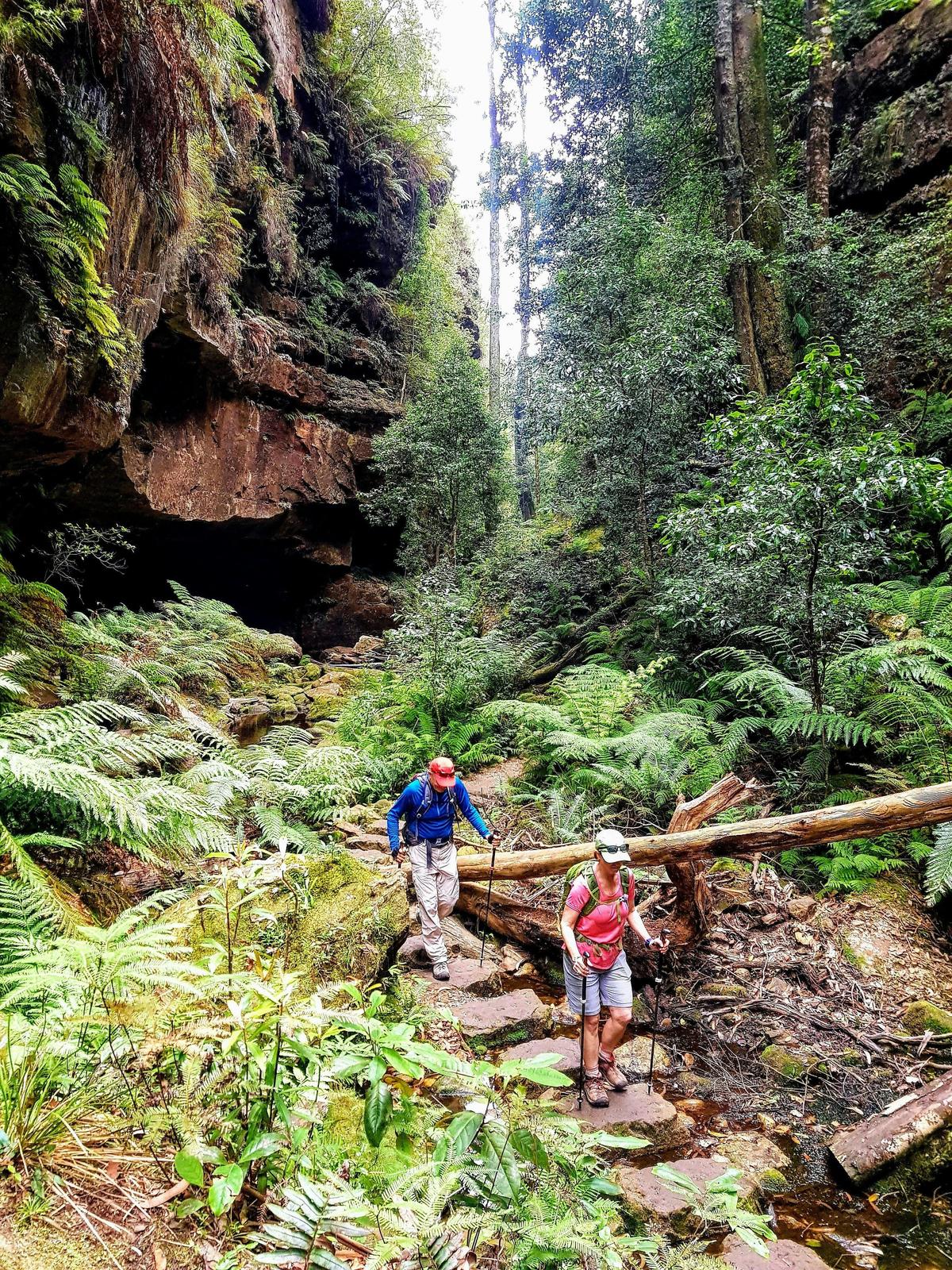 Six Foot Track 3-Day Guided Pack-Free Walk with Life's An Adventure