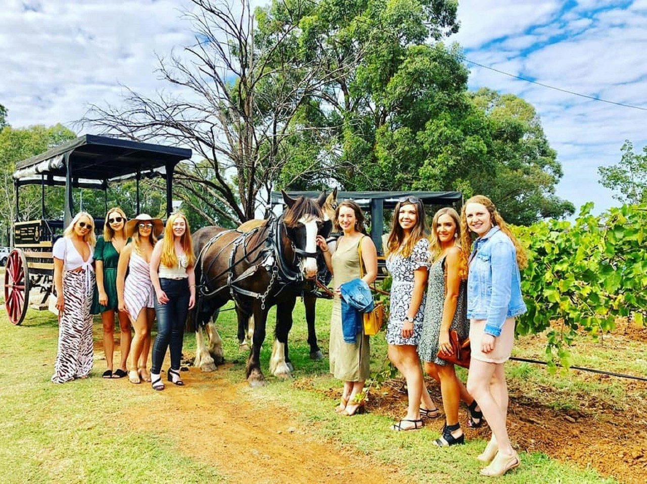 Wine Tours