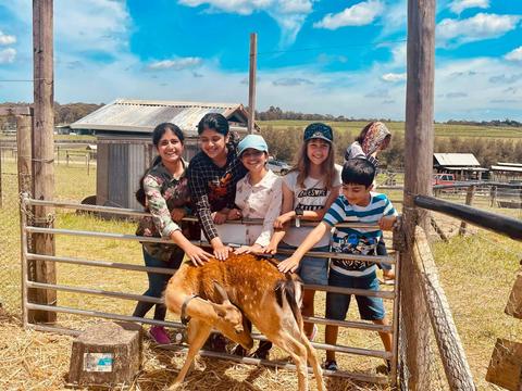 Hunter Valley Horses