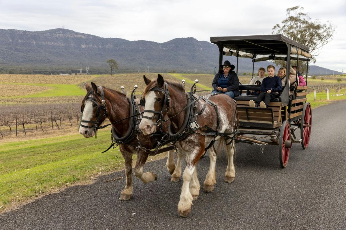 Carriage Tours