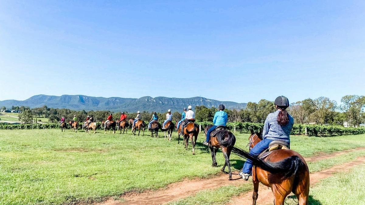Group Horse Ride
