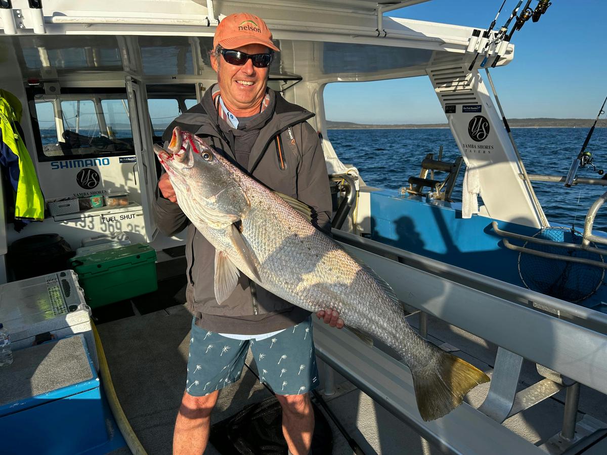 Go Fish Yamba Charters