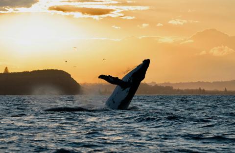 Out Of The Blue Adventures Ballina