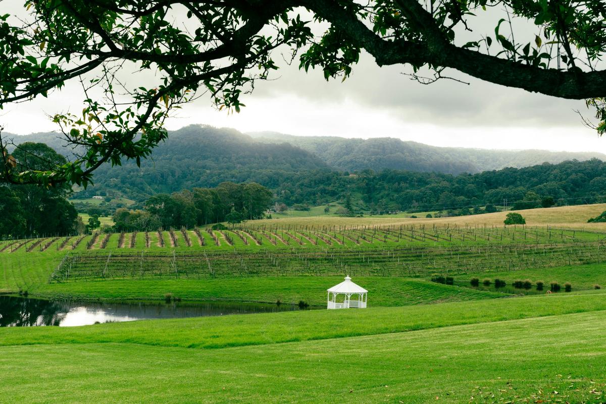 Shoalhaven Vineyards