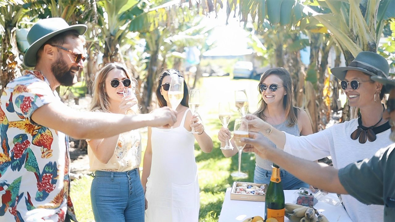Localing guests and hosts enjoying drinks in a banana farm.