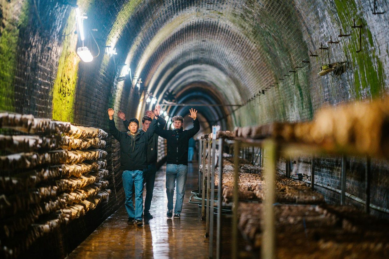 Inside the tunnel
