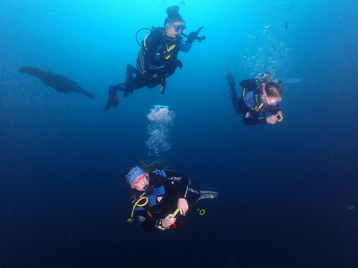 Scuba divers underwater