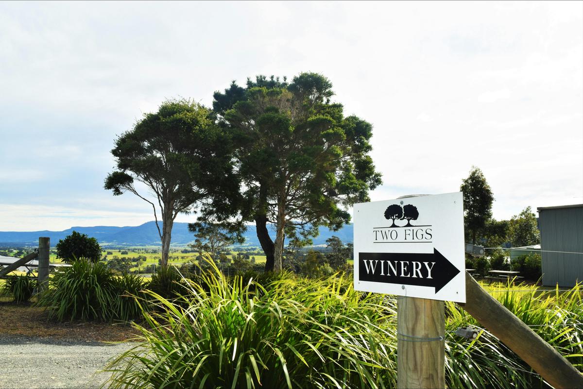 Two Figs Winery