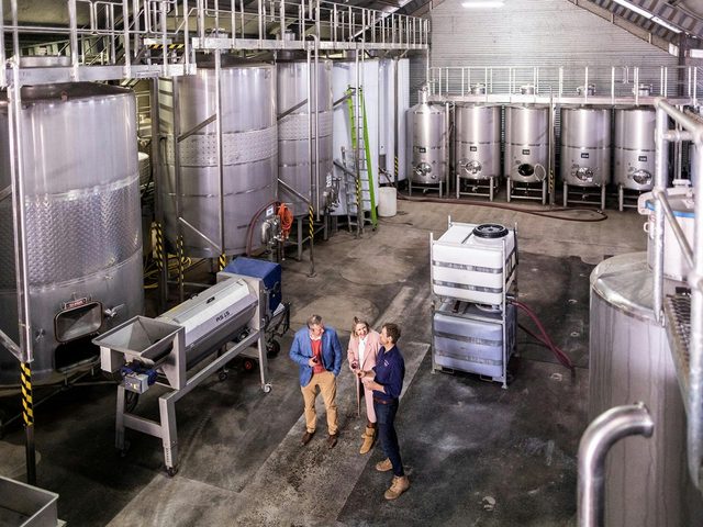 Printhie Wines