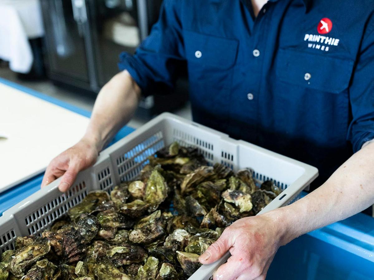 Printhie Wines Oyster Tank