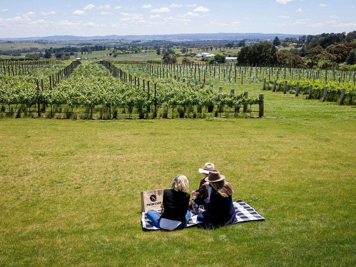 Printhie Wines Picnci Exprience overlooking the vineyard