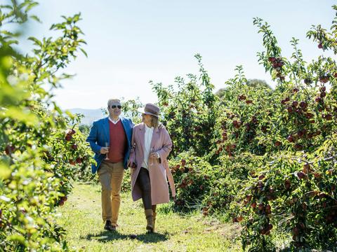 Explore Printhie's Cellar Door estate