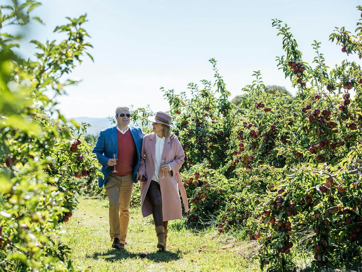 Explore Printhie's Cellar Door estate