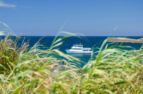Moonshadow Cruises at Broughton Island