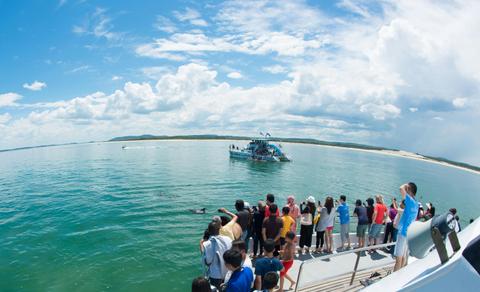 Viewing Dolphins from Moonshadow V