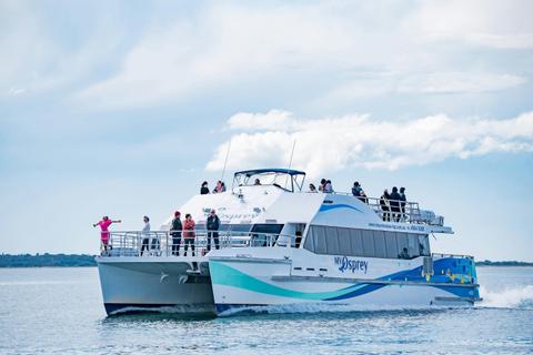 1.5 hour Dolphin Watch & Eco Adventure