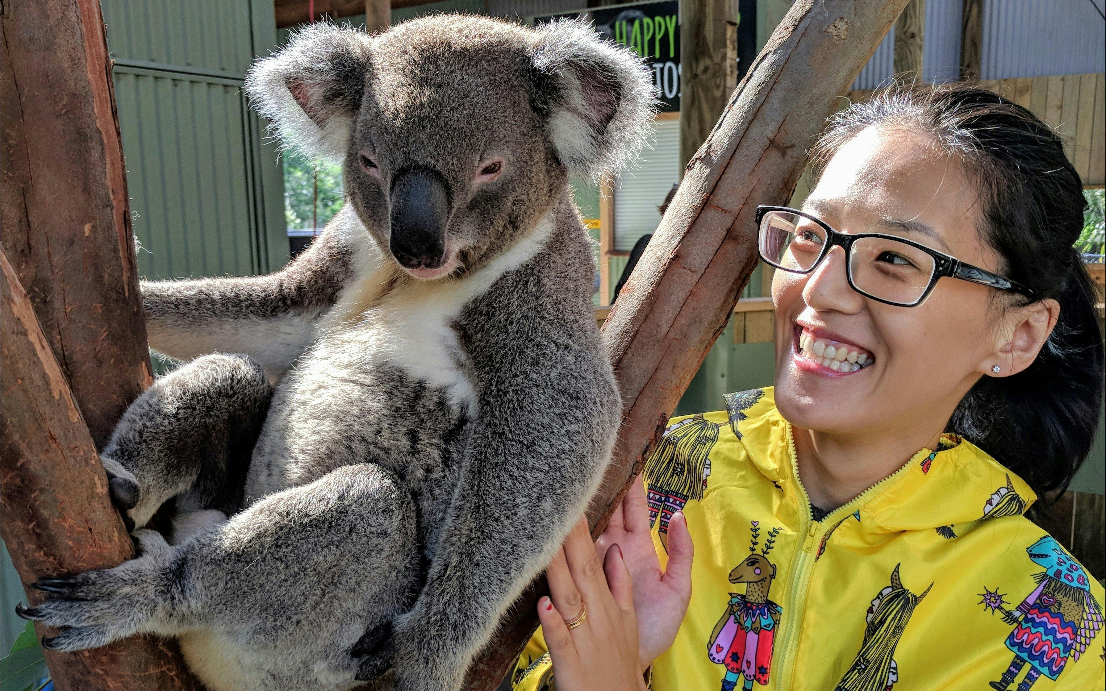 The ultimate selfie - just you and a koala!