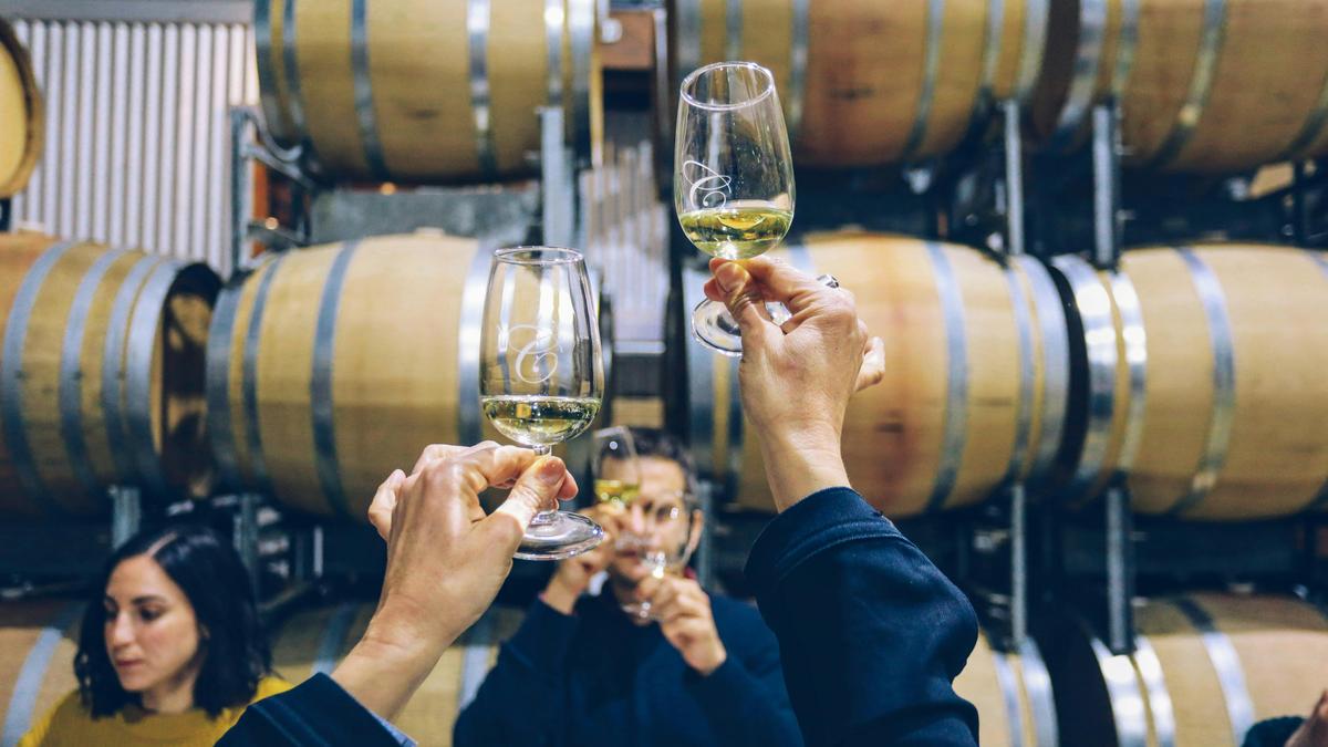 Pinot Masterclass 4 - Taste of the Highlands tour, Local Travel Planner