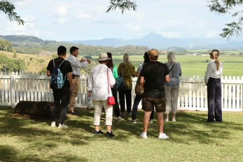 Tropical Fruit World - Tours and Experiences