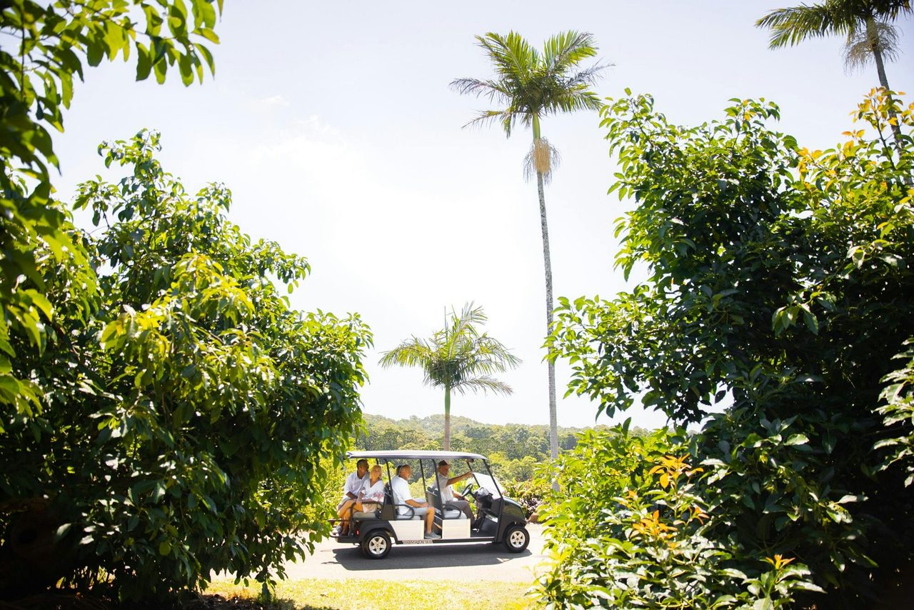 Private Buggy tour